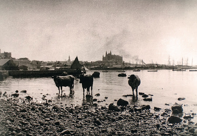 Puerto de Palma de Mallorca, 1920